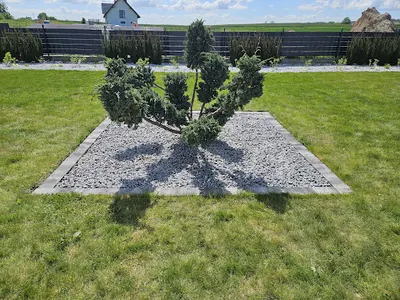 Garden Brand inż. Szymon Radomski